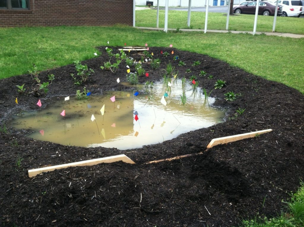 Claxton Elementary School Rain Garden