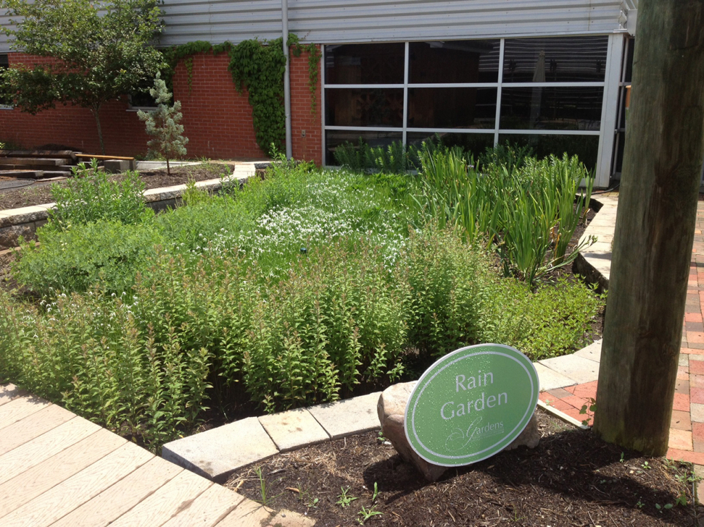 University of Tennessee Rain Garden