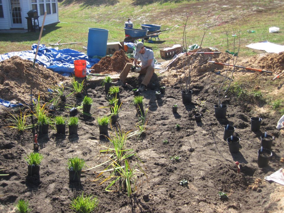 Cedar Crossing Condo Rain Gardens - man planting shrubs in garden