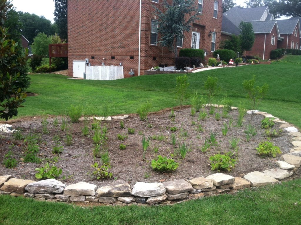 Cedar Crossings Subdivision Rain Gardens